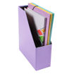 Picture of EXACOMPTA MAGAZINE HOLDER PASTEL SET OF 2